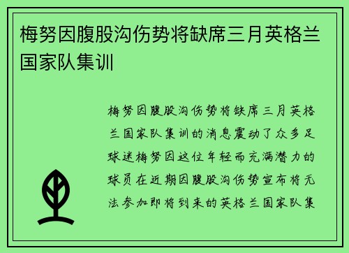 梅努因腹股沟伤势将缺席三月英格兰国家队集训